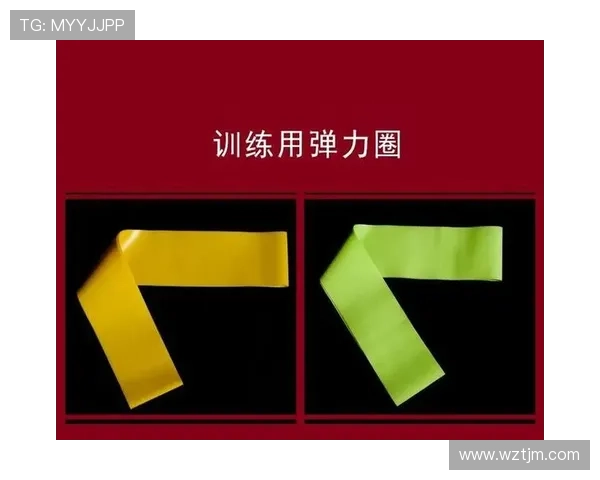 南京羽毛球队耐力表现数据分析揭示训练效果与运动员潜力的深度关系 南京羽毛球队耐力表现数据分析揭示训练效果与运动员潜力的深度关系