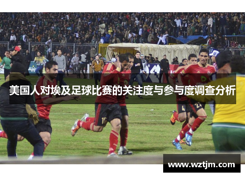 美国人对埃及足球比赛的关注度与参与度调查分析