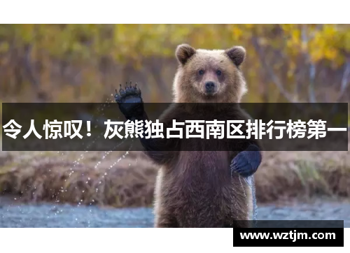 令人惊叹！灰熊独占西南区排行榜第一
