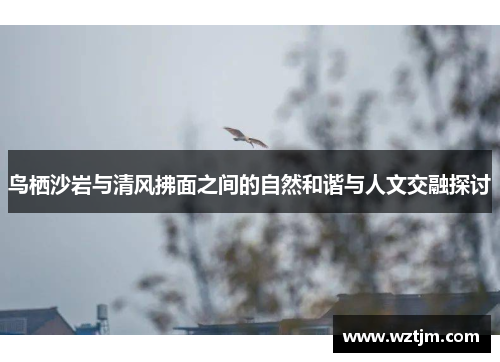 鸟栖沙岩与清风拂面之间的自然和谐与人文交融探讨